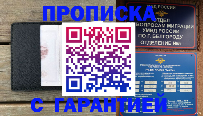 временная регистрация для всех в Тереке